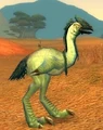Fleeting Plainstrider.jpg
