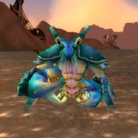 Image of Slimeshell Makrura