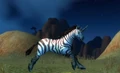 Swiftmane.jpg