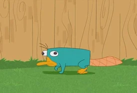 Perry backyard.jpg