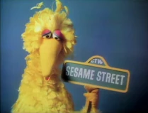 BigBird0158