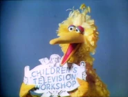 BigBird355