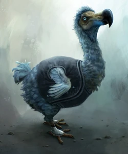 Dodo Bird Concept1-852x1024.jpg