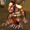 Stonesplinter Geomancer