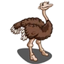 Female Ostrich-icon