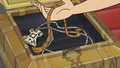 JaporSnippet-CW21.jpg