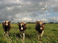 Cluve Wind farm
