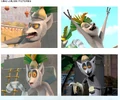 Julien-pics.JPG