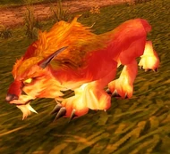 Springpaw Lynx.jpg