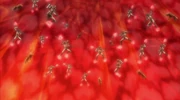 Scarletta Tempesta