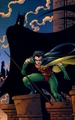 Robin Tim Drake 0016