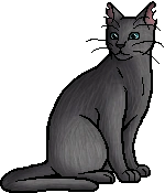 Die WindClan-Chroniken Boulder.warrior