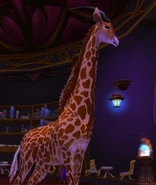 Aurosalia giraffe