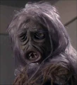 M 113 Creature