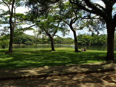 Ibirapuera park - São Paulo