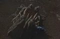 Fyrine ambush1