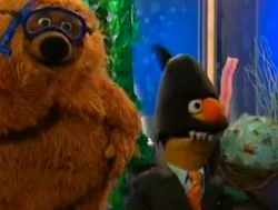 BertShark