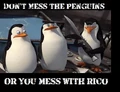 Dont-mess-with-Penguins.jpg