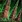 SeismicSpines SC2 Game1