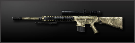 http://images3.wikia.nocookie.net/__cb20100401190310/combatarms/images/0/02/Main_m110_sass.jpg
