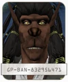 BandorMokk.jpg