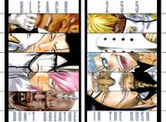 C255 cover Espada