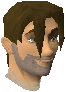 Courier chathead.png