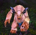 Gnarlpine Ursa.jpg