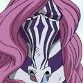 Minozebra Portrait