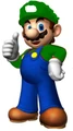2luigi.jpg