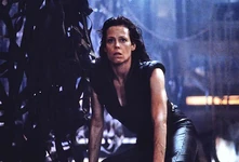 Ripley ohcrap