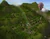 Arbor Falls