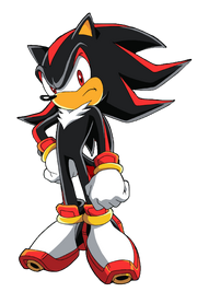 Shadow 16