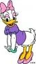 Dollyduck.jpg
