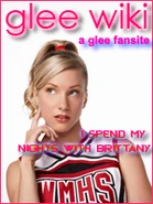 Brittany Wiki Badge