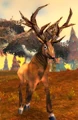 Mosshoof Runner.jpg