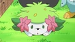 Shaymin