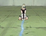 Chakra kami nawa