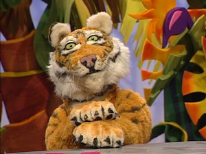 Jaredthetiger