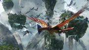 Navi Air Forces.png