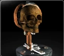 TheSkullofIvoShandor