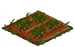 Saffron 33