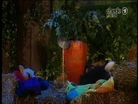 Folge2528-5