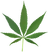 Category.png