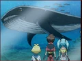 Aquarium