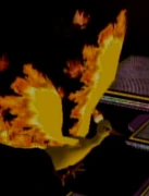 Moltres SSBM