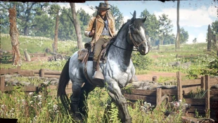 War Horse
