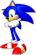 SonicHedge