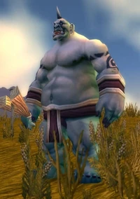 Image of Boulderfist Ogre