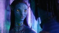 Neytiri Smile -.jpg (36